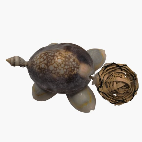 Sea Shell Turtle Figurine Miniature Woven Head Eyeglass Accents - Picture 8 of 9